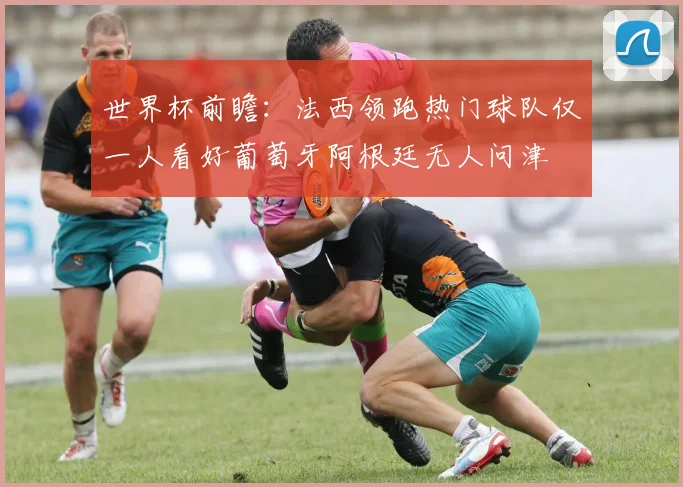 世界杯前瞻：法西领跑热门球队仅一人看好葡萄牙阿根廷无人问津